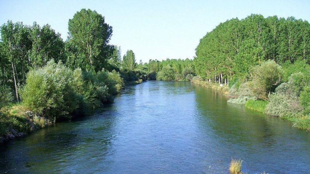 Esla River 10 best rivers for fly fishing trout in León