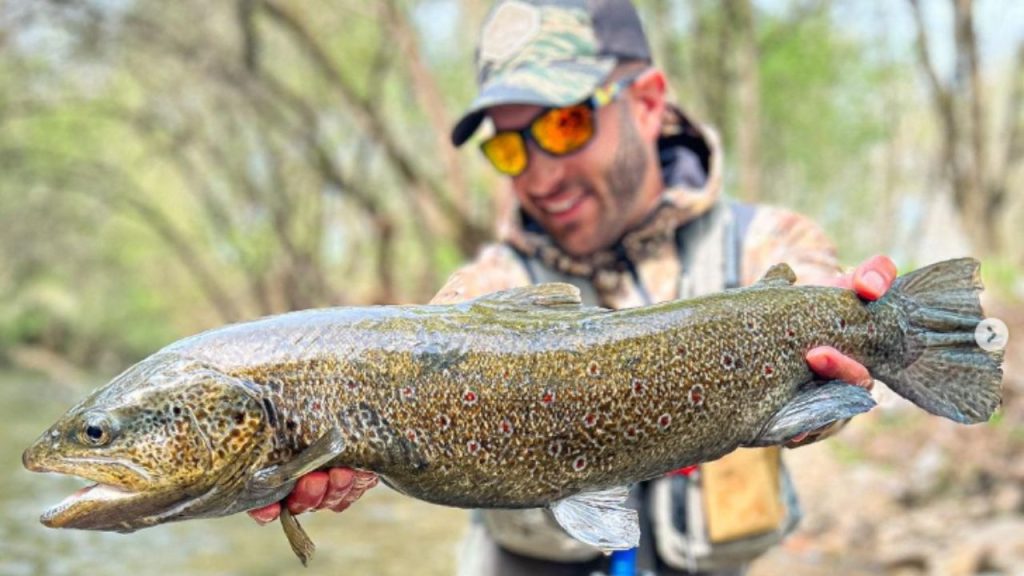 Sil River 10 best rivers for fly fishing trout in León
