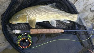 Fly fishing in Spain - Completed Guide