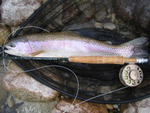 Fly fishing in Spain - Completed Guide