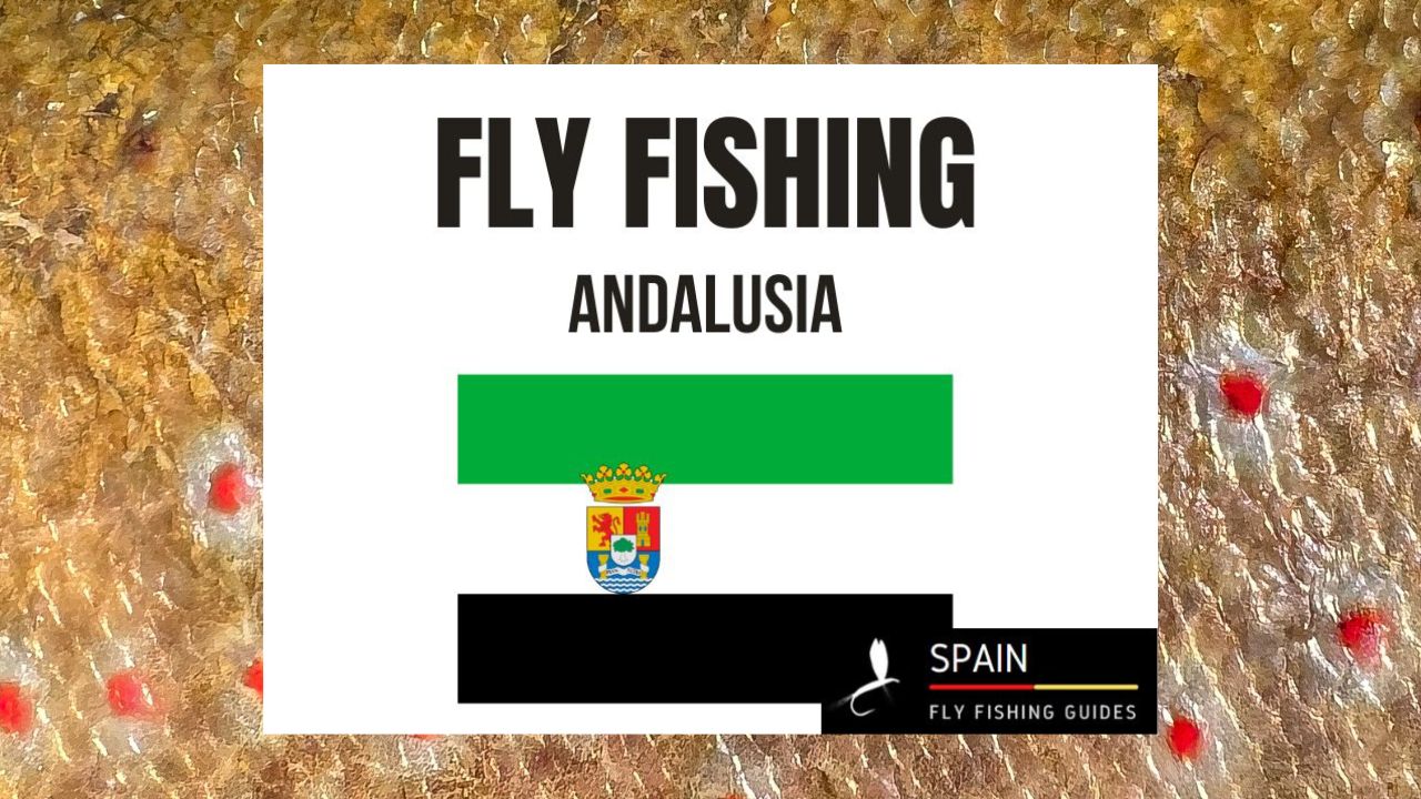 Fly fishing in Spain - Completed Guide