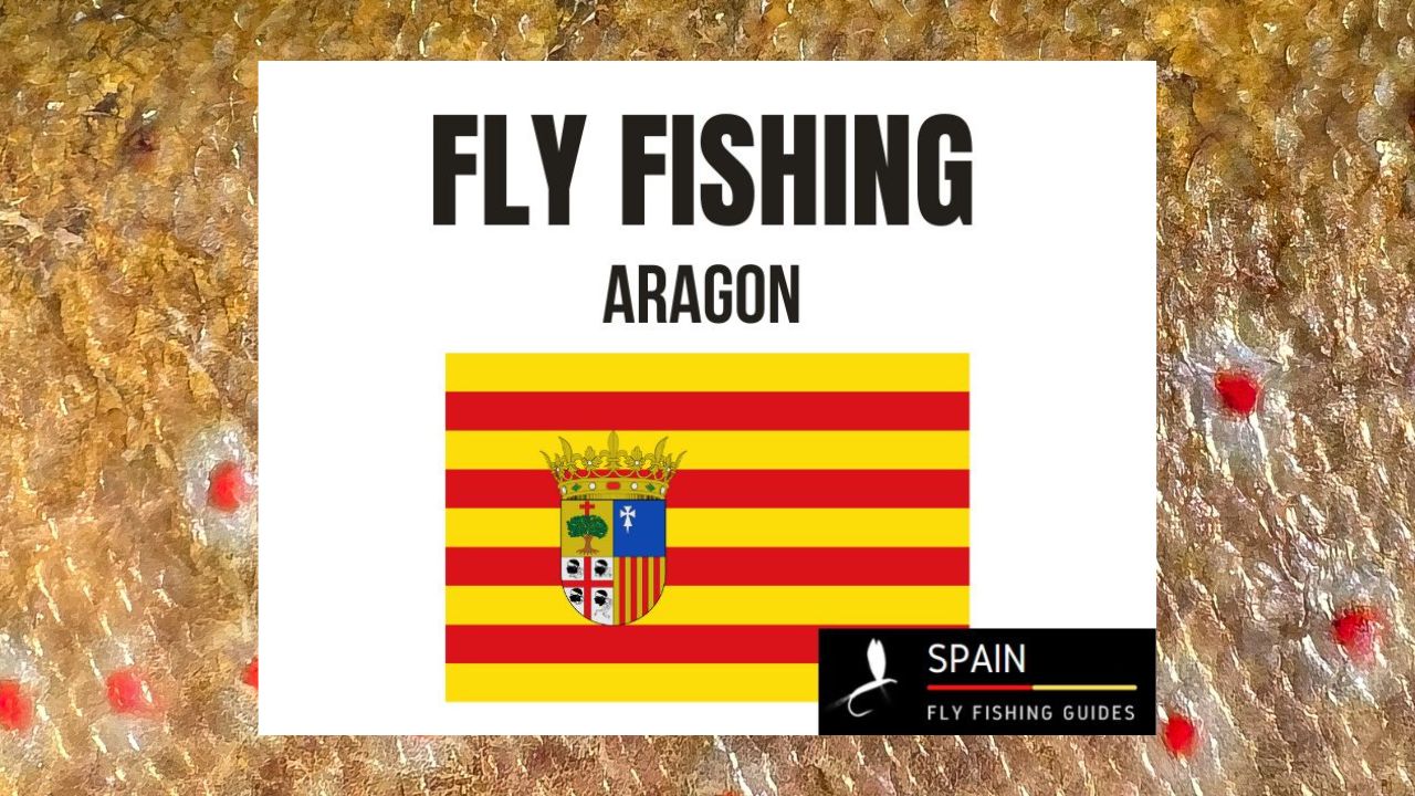 Fly fishing in Spain - Completed Guide