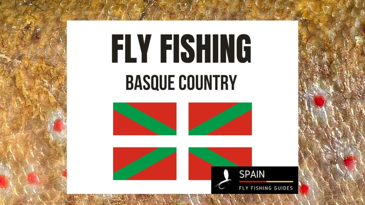 Fly fishing in Spain - Completed Guide