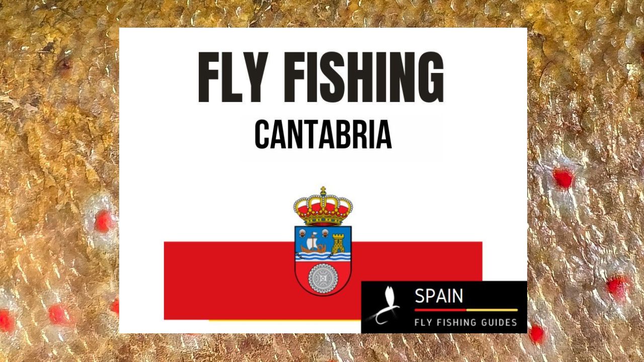Fly fishing in Spain - Completed Guide