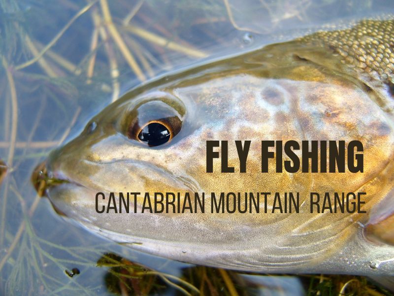 Fly Fishing Cantabrian Range