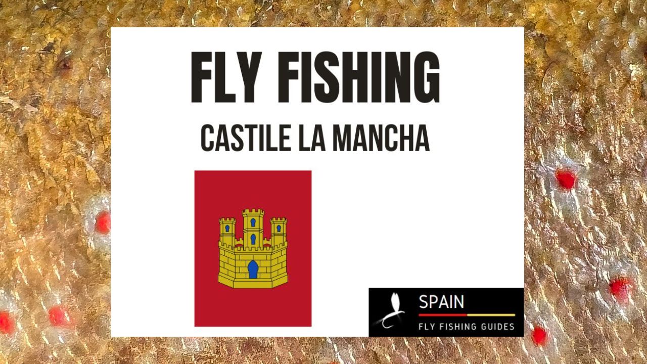 Fly fishing in Spain - Completed Guide