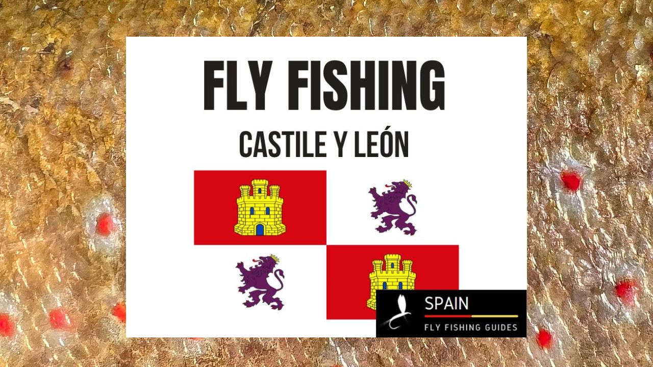 Fly fishing in Spain - Completed Guide