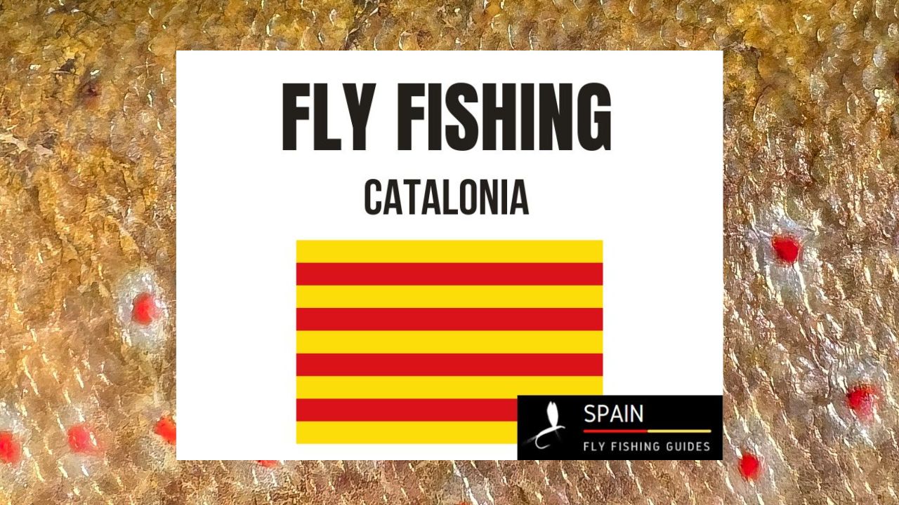 Fly fishing in Spain - Completed Guide