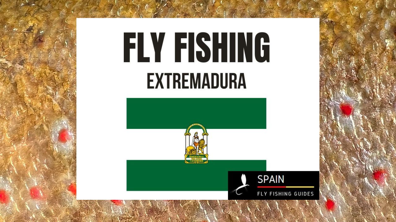 Fly fishing in Spain - Completed Guide