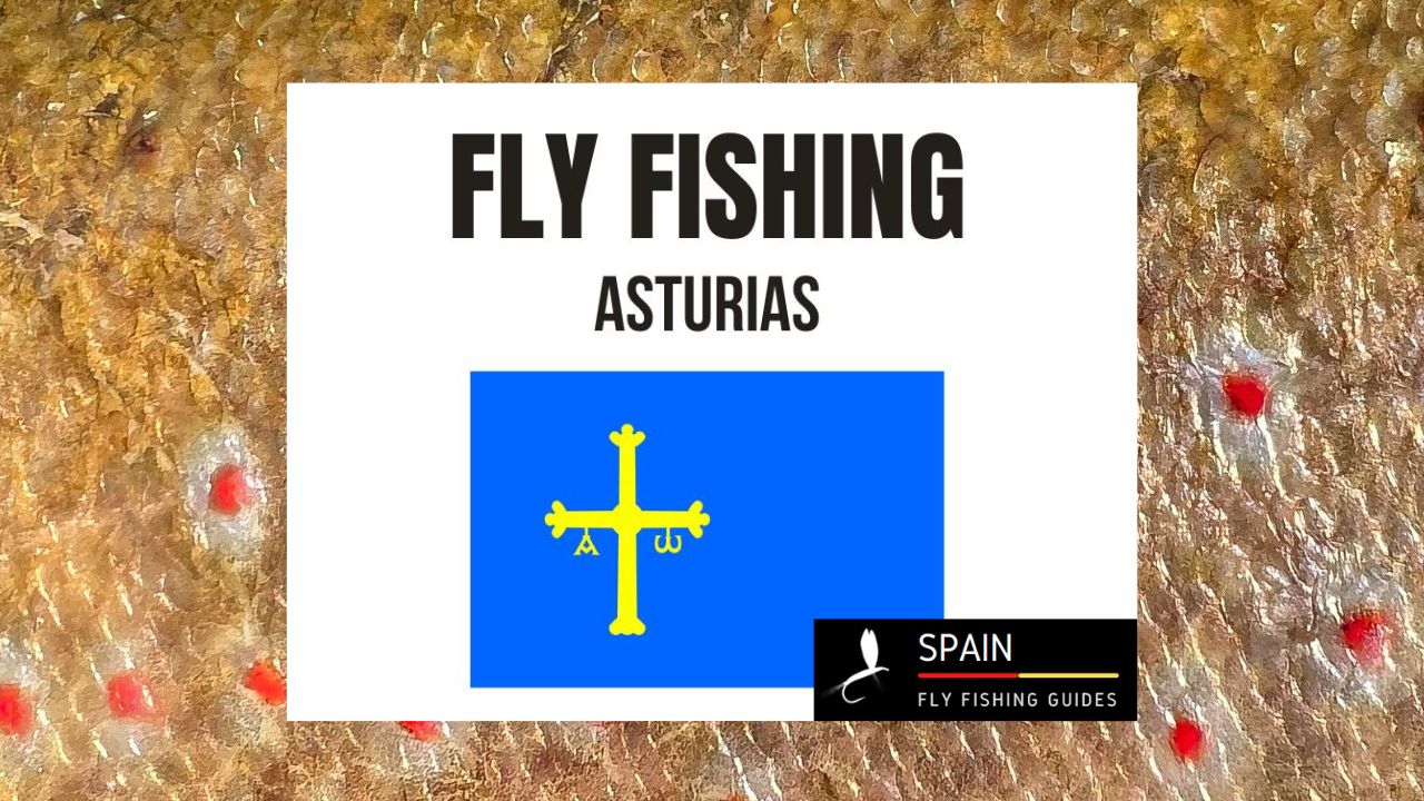 Fly fishing in Spain - Completed Guide