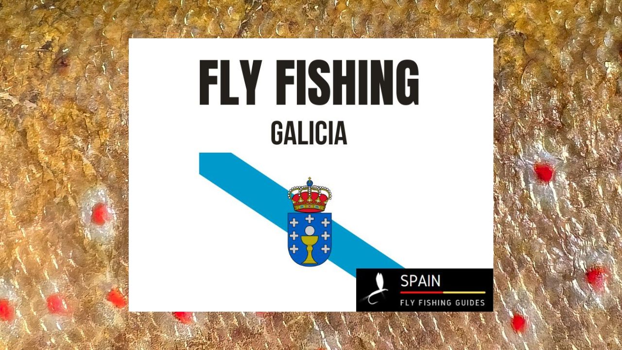 Fly fishing in Spain - Completed Guide