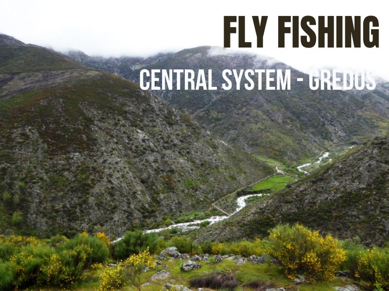 Fly Fishing Central System - Gredos