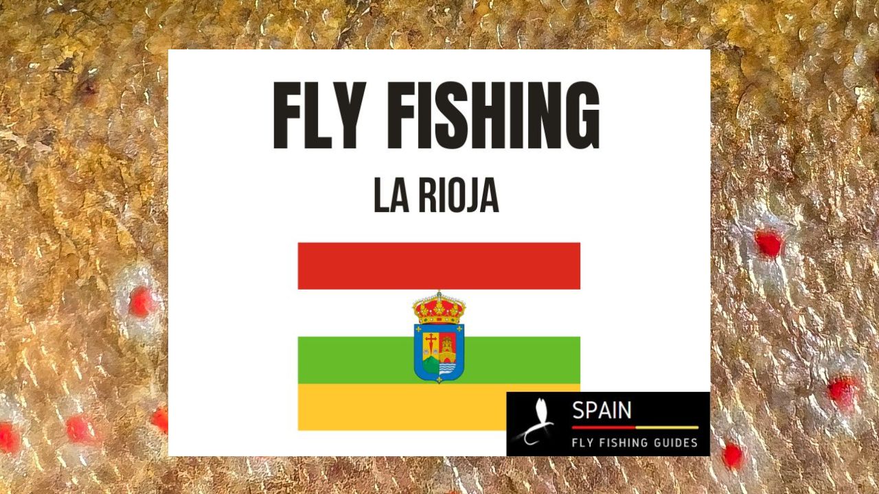 Fly fishing in Spain - Completed Guide