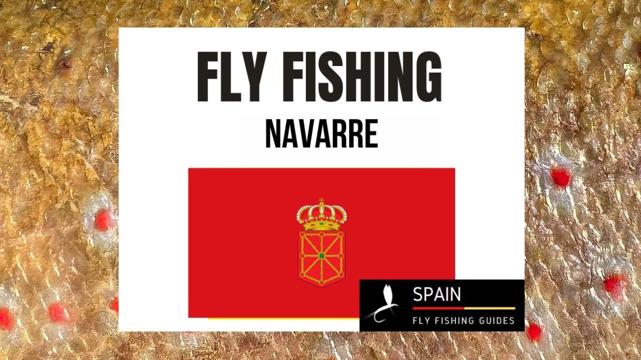 Fly fishing in Spain - Completed Guide