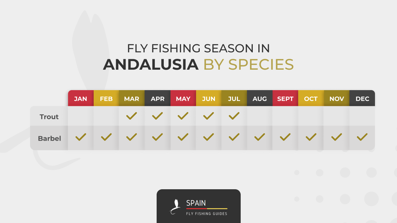 Fly fishing in Spain - Completed Guide