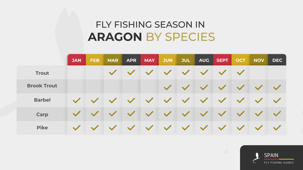 Fly fishing in Spain - Completed Guide