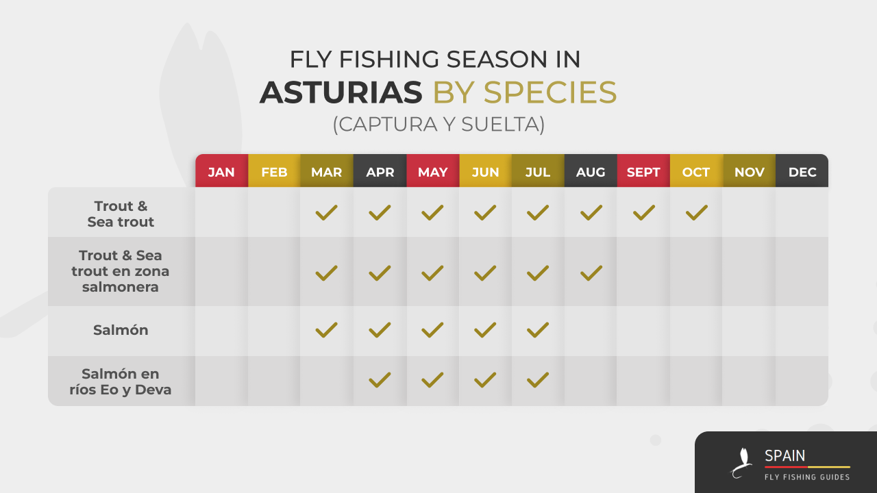 Fly fishing in Spain - Completed Guide