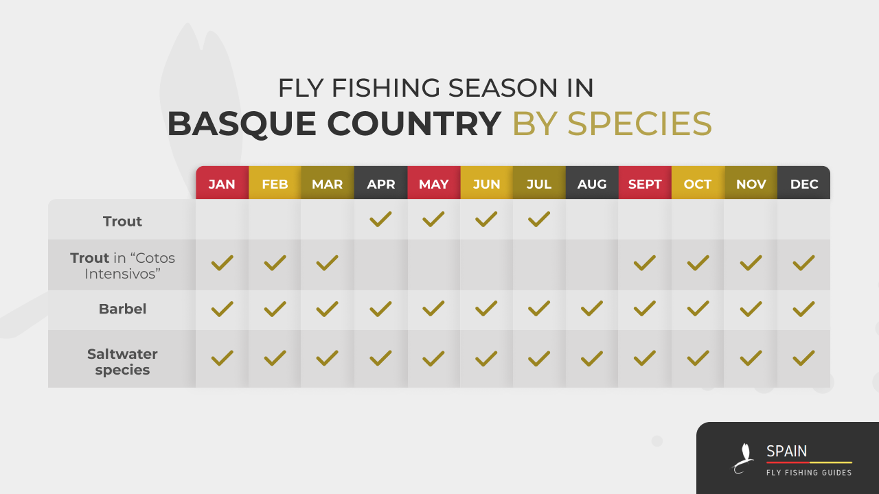 Fly fishing in Spain - Completed Guide