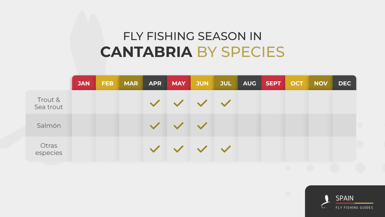 Fly fishing in Spain - Completed Guide