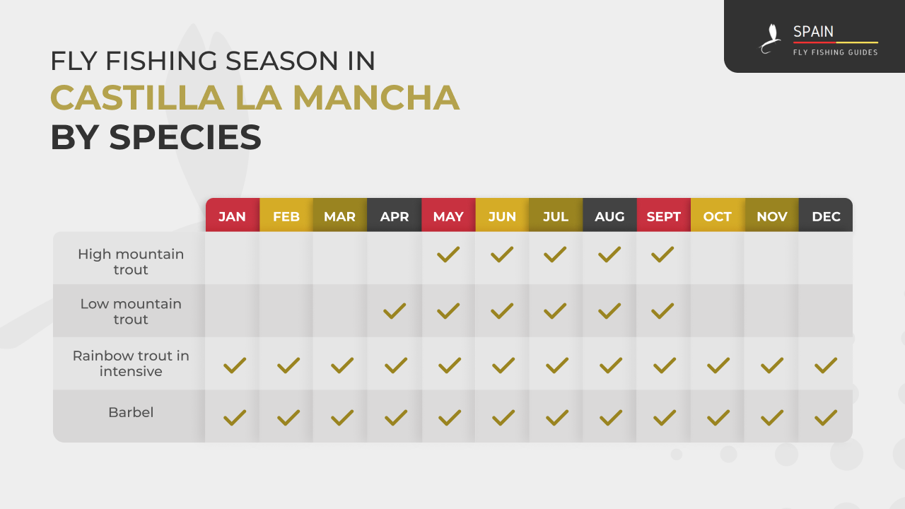 Fly fishing in Spain - Completed Guide