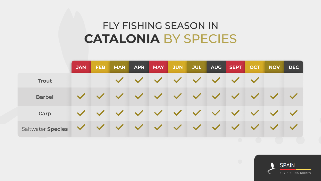 Fly fishing in Spain - Completed Guide