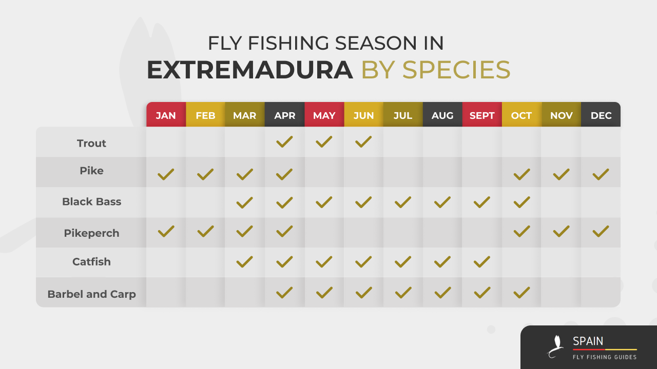 Fly fishing in Spain - Completed Guide