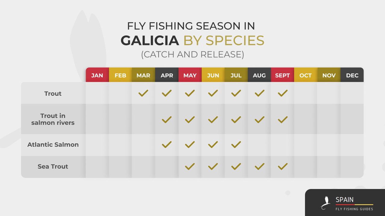 Fly fishing in Spain - Completed Guide