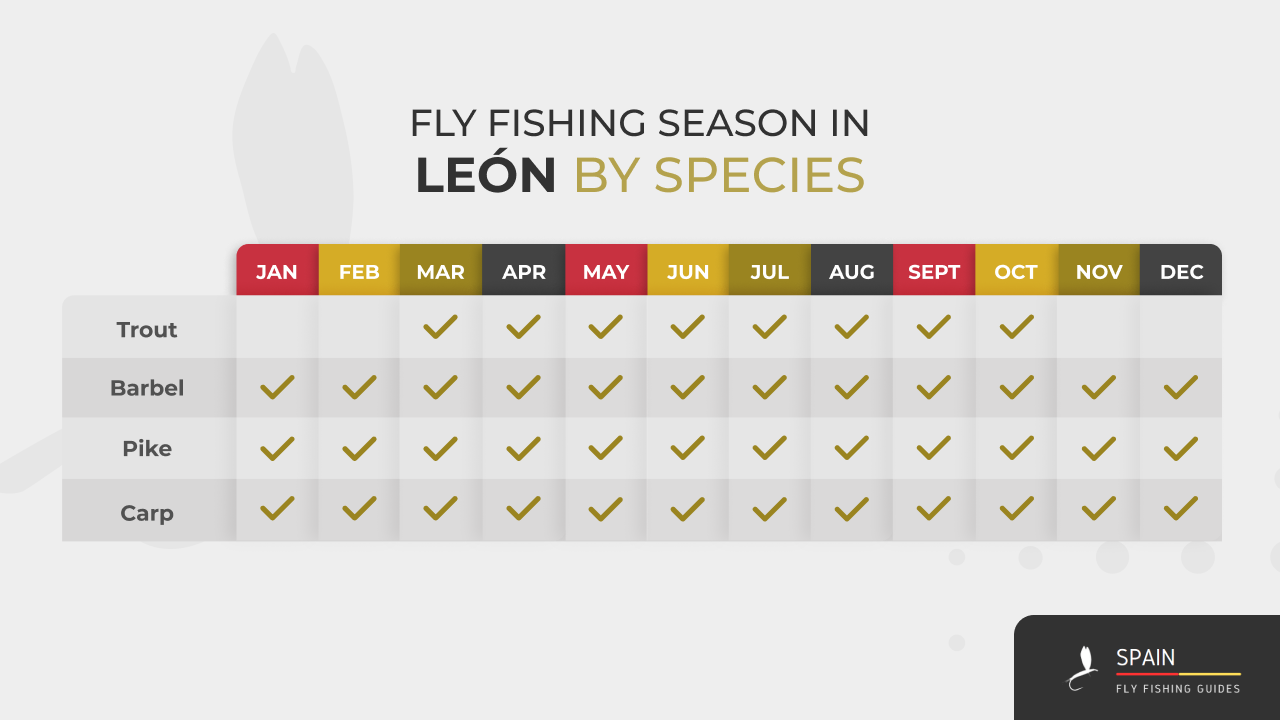 Fly fishing in Spain - Completed Guide