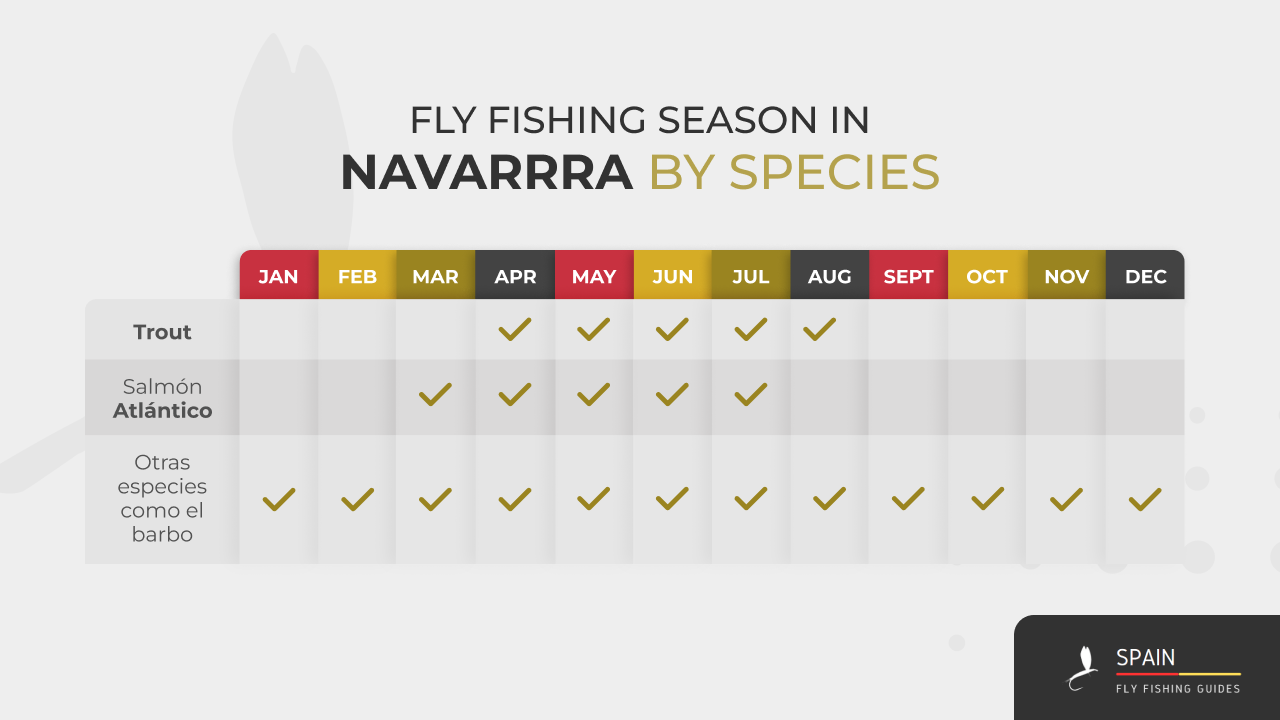 Fly fishing in Spain - Completed Guide