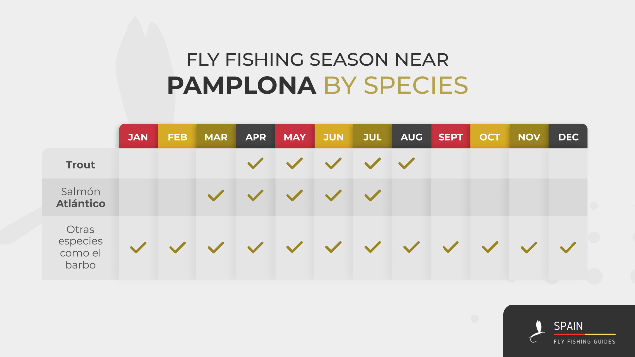 Fly fishing in Spain - Completed Guide