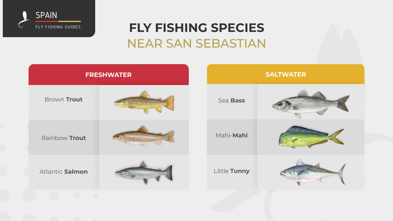 Fly fishing in Spain - Completed Guide