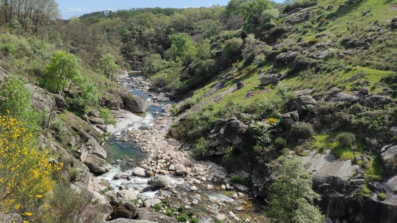 Fly Fishing Central System - Gredos