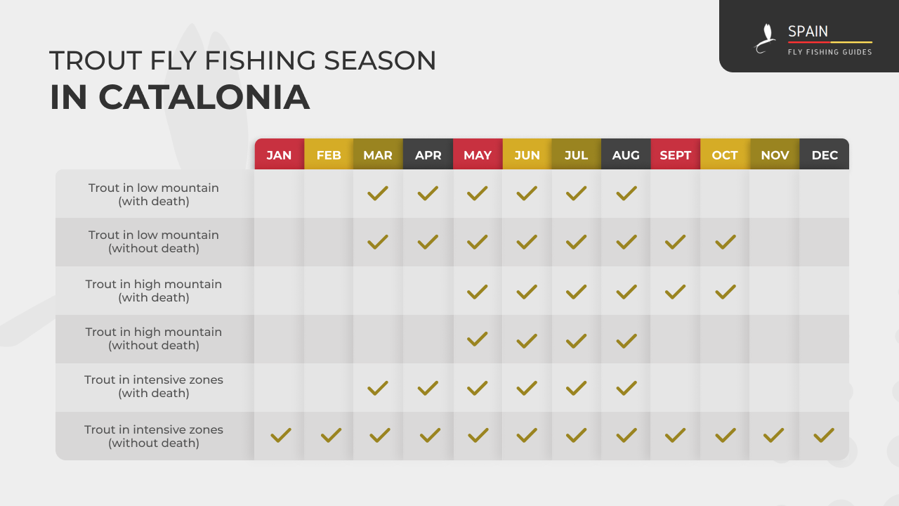 Fly fishing in Spain - Completed Guide
