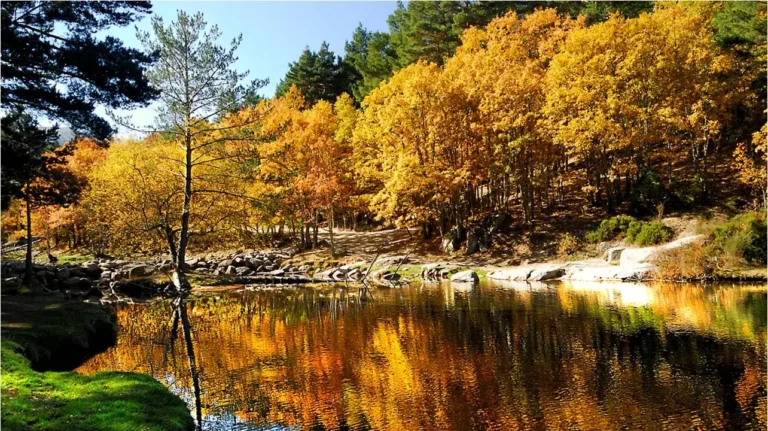 lozoya river